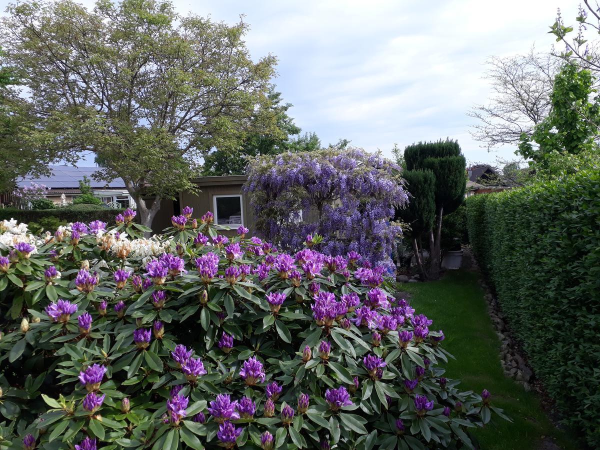 Nykøbing SjællandJysse'S Bed & Bath住宿加早餐旅馆 外观 照片